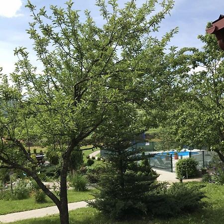 Apartments San - With Pool; Rakovica Dış mekan fotoğraf