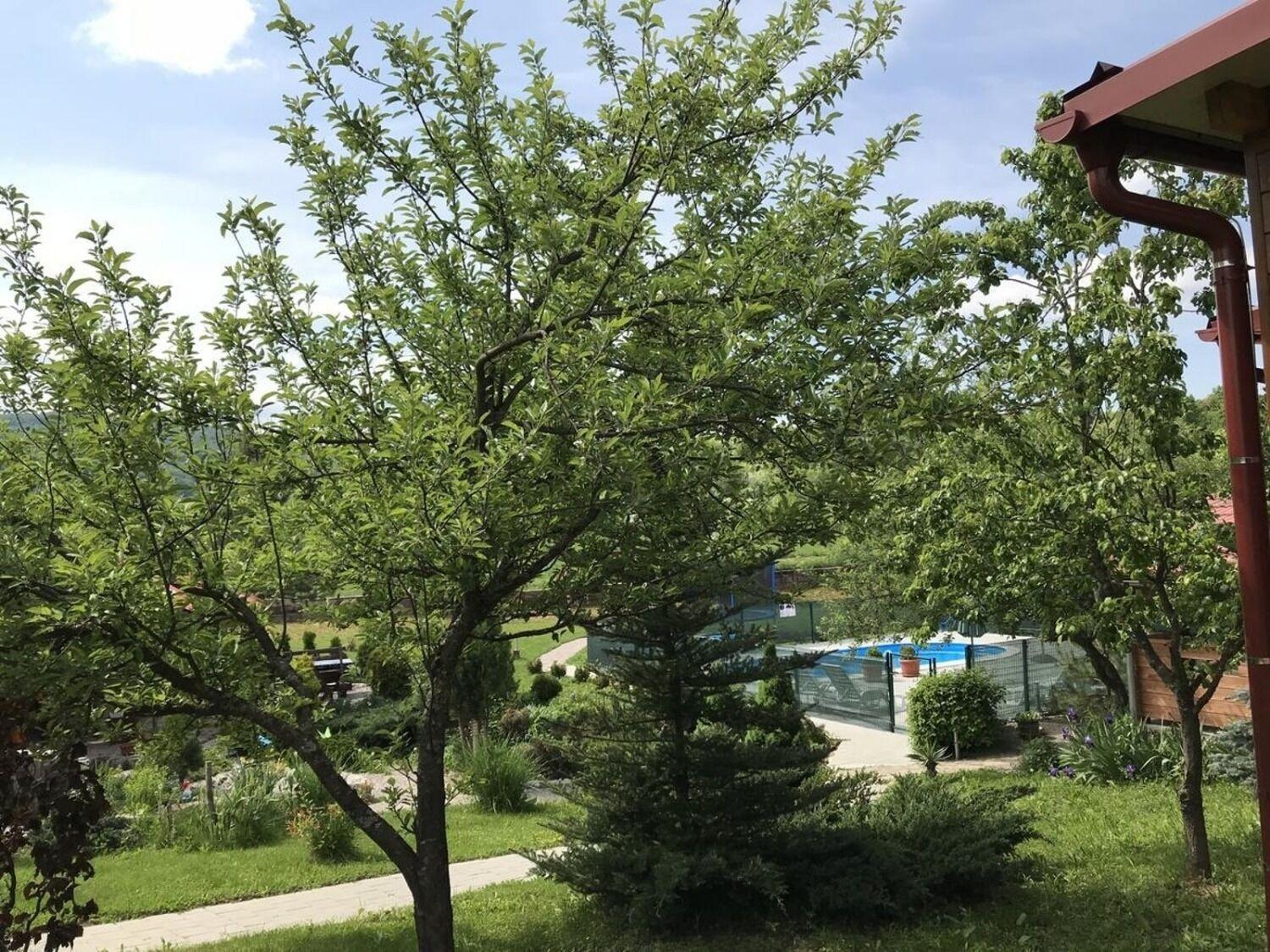 Apartments San - With Pool; Rakovica Dış mekan fotoğraf